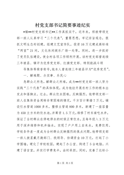 村党支部书记简要事迹纪实.docx