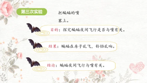 6夜间飞行的秘密  课件