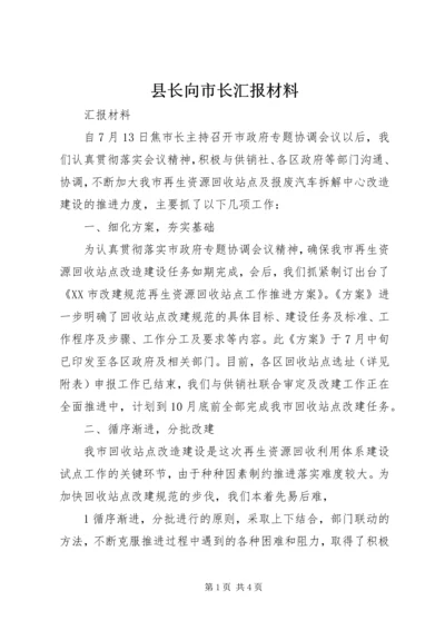 县长向市长汇报材料 (5).docx