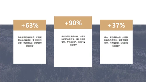 商务风总结汇报PPT模板