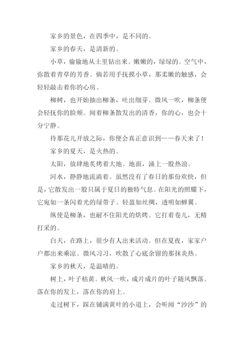 家乡的四季作文600字.docx
