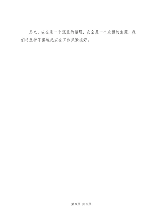沿湖路小学安全工作自查报告.docx