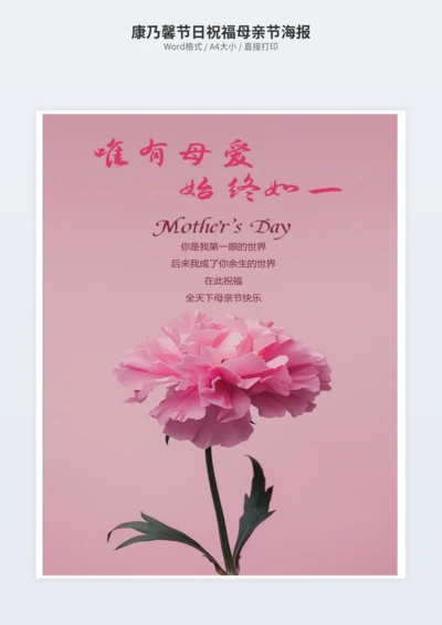 康乃馨节日祝福母亲节海报