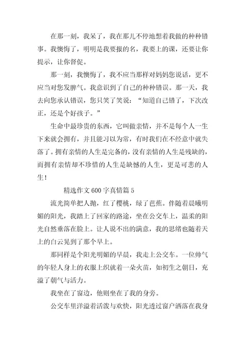 2024年精选作文600字真情