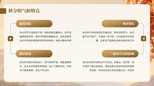 棕色卡通中国风秋分节气宣传知识PPT