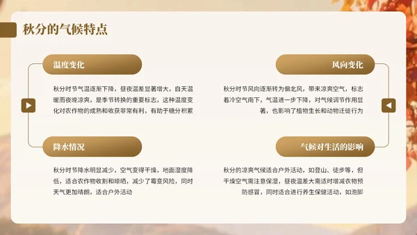 棕色卡通中国风秋分节气宣传知识PPT