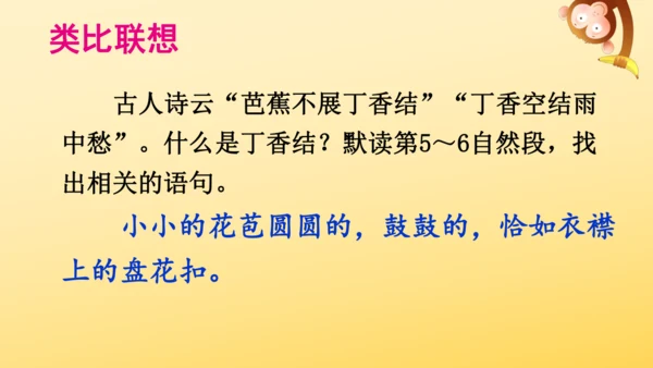2 丁香结  课件
