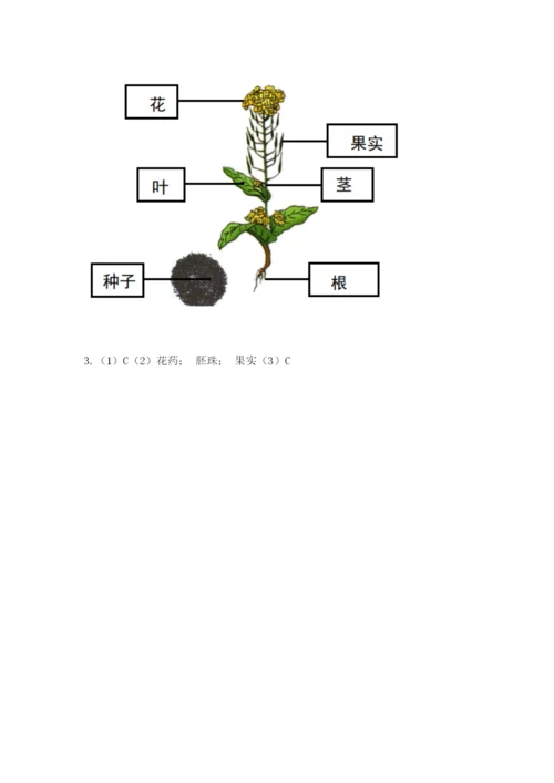 教科版科学四年级下册第一单元《植物的生长变化》测试卷（易错题）.docx