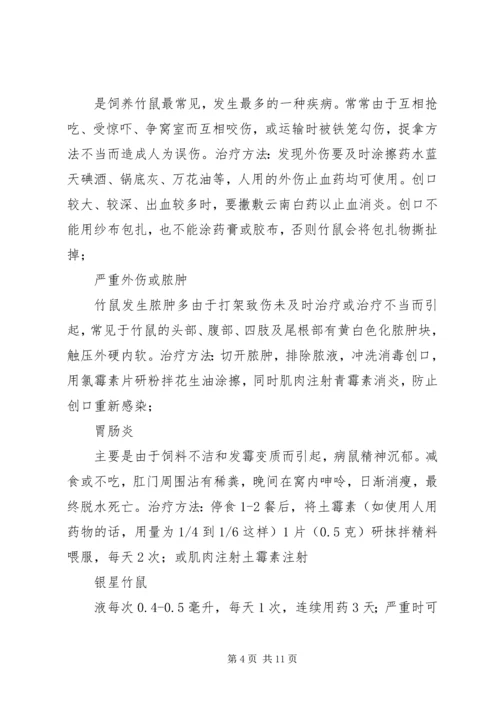 竹鼠养殖计划书 (2).docx