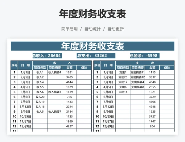 年度财务收支表