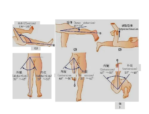关节活动度记录方法