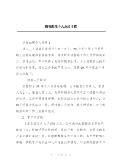 销售助理个人总结5篇.docx