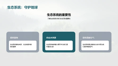 生态守护：我们的责任