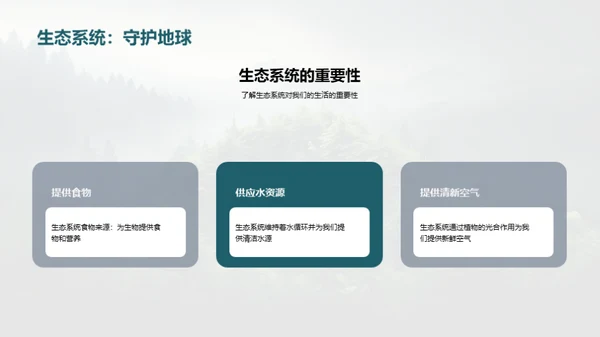 生态守护：我们的责任