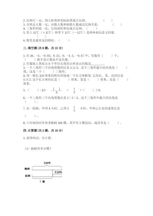 赣州市赣县六年级下册数学期末测试卷及精品答案.docx