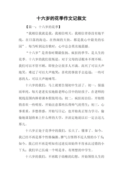 十六岁的花季作文记叙文.docx