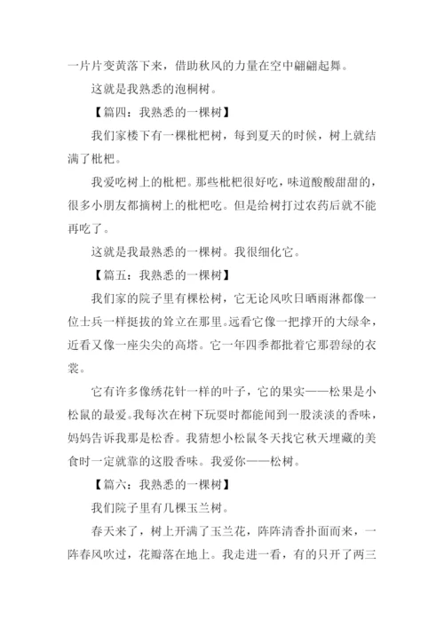 我熟悉的一棵树作文100字.docx