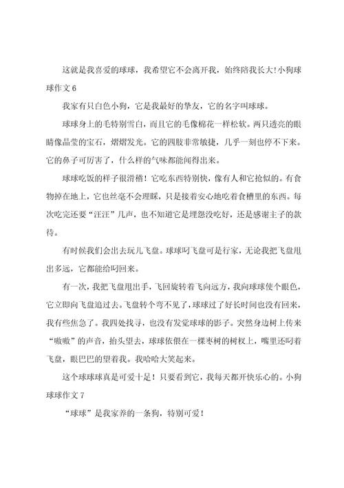 小狗球球作文