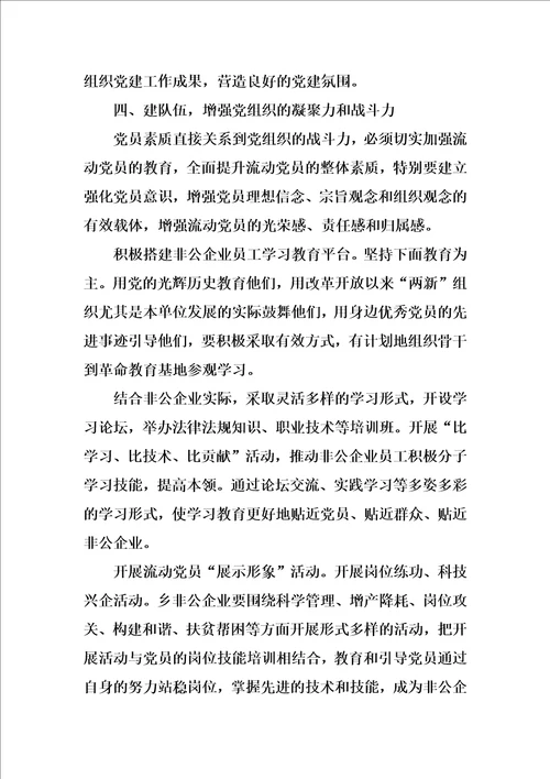 XX年非公企业党支部工作计划