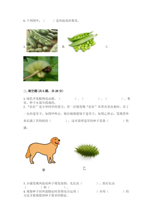 教科版科学四年级下册第一单元《植物的生长变化》测试卷（b卷）.docx