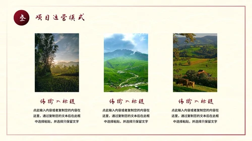 建设美丽乡村旅游商业计划书PPT模板