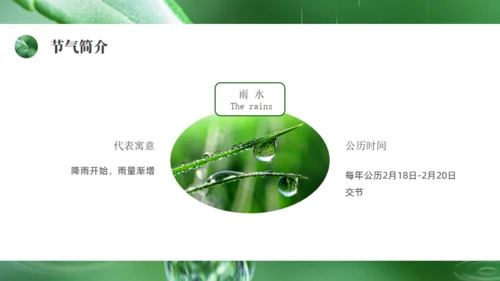 雨水绿色露水背景通用PPT模板