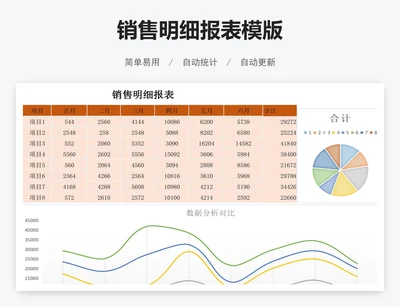销售明细报表模版