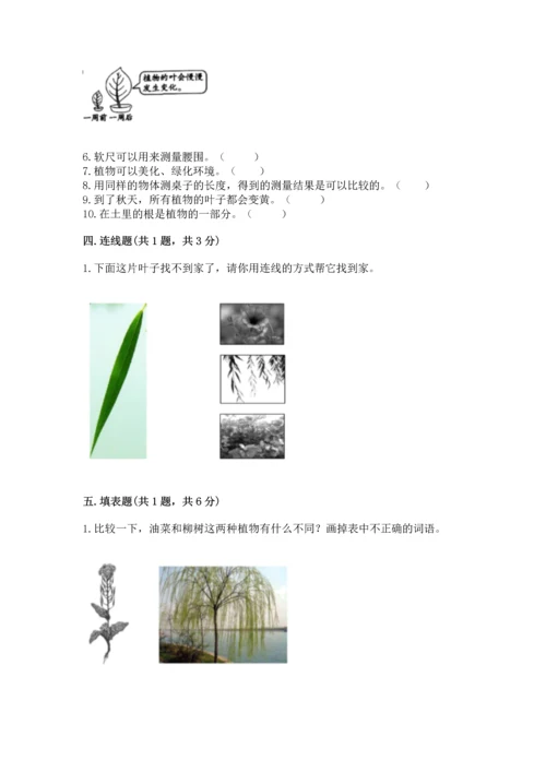 教科版一年级上册科学期末测试卷及参考答案（夺分金卷）.docx