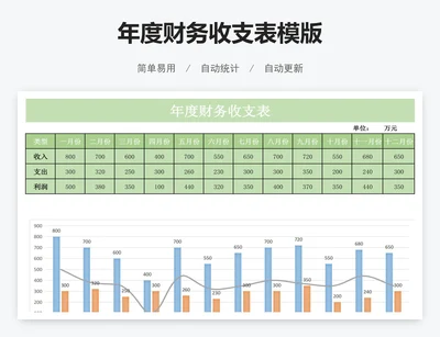 年度财务收支表模版