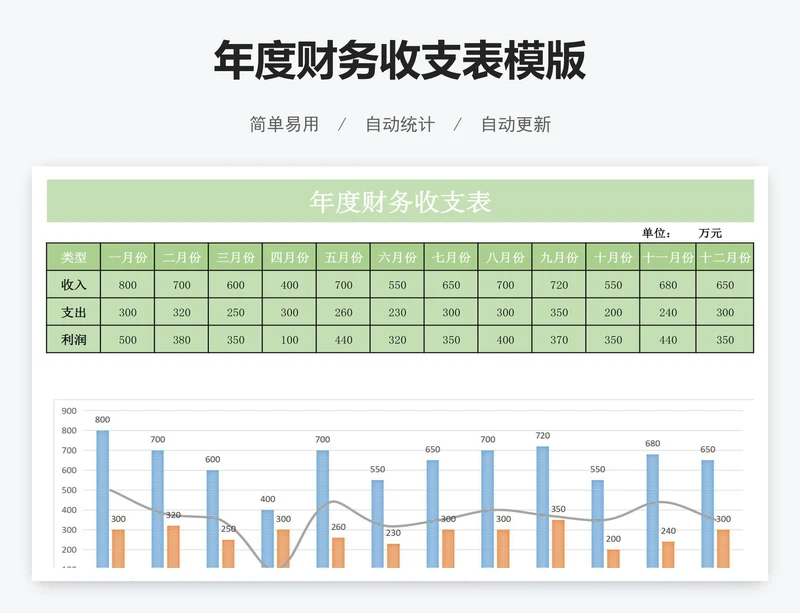 年度财务收支表模版