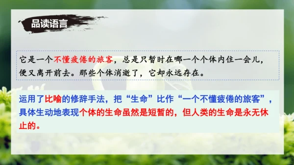 第16课 散文二篇 《永久的生命》课件