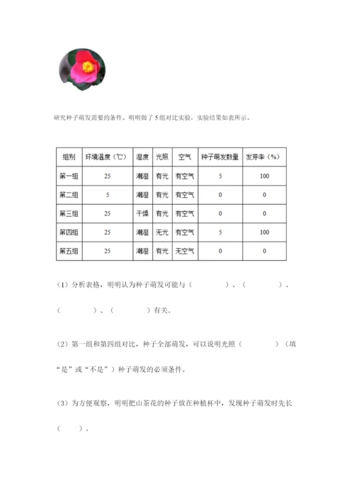 教科版科学四年级下册第一单元《植物的生长变化》测试卷附答案.docx