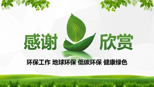 绿色环保低碳生态文明建设树叶PPT模板