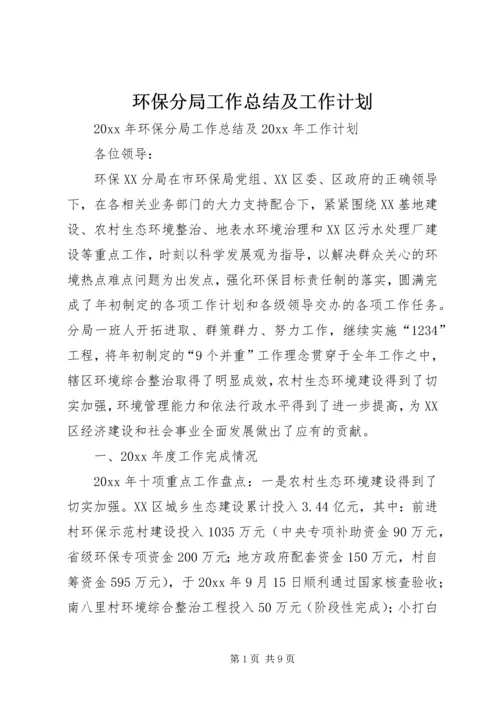 环保分局工作总结及工作计划.docx