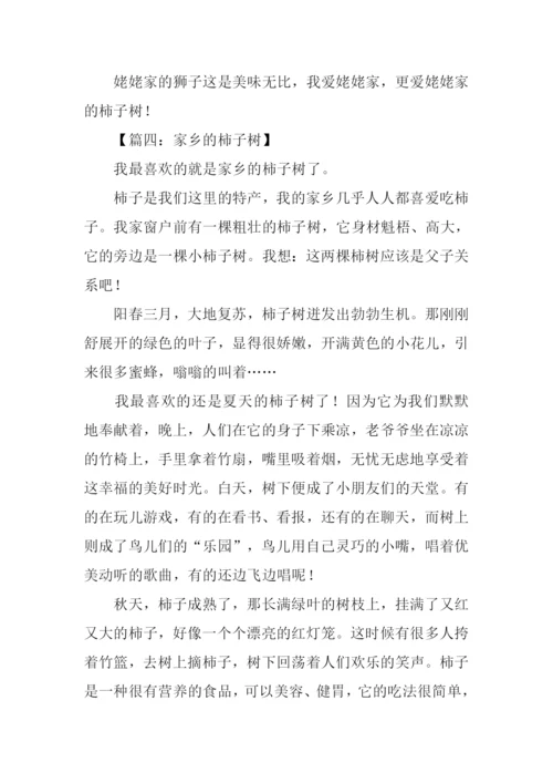 家乡的柿子树作文.docx