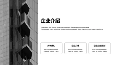 单色扁平3项企业介绍