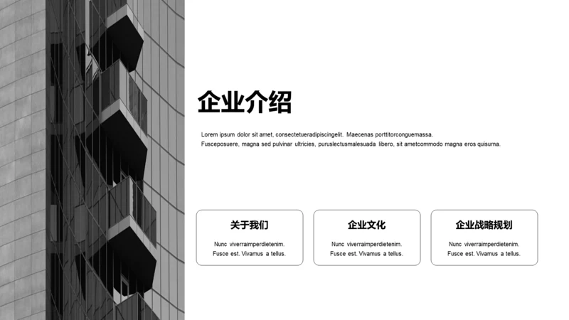 单色扁平3项企业介绍
