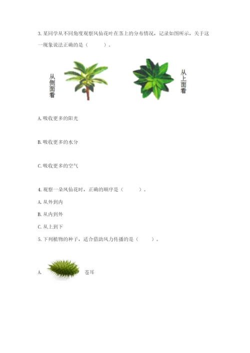 教科版科学四年级下册第一单元《植物的生长变化》测试卷精品（实用）.docx