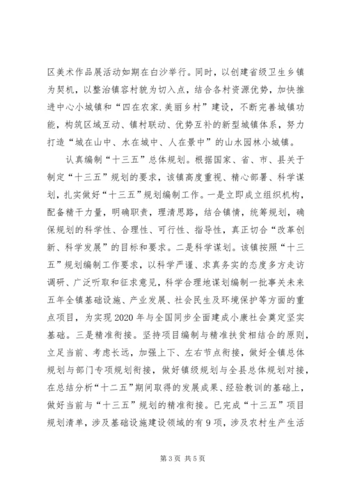 乡镇规划管理委员会工作汇报.docx
