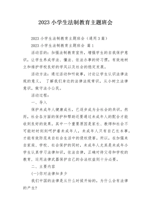 2023小学生法制教育主题班会.docx