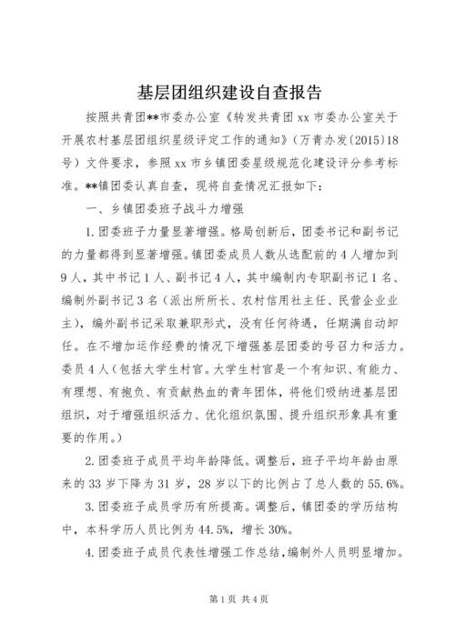 基层团组织建设自查报告.docx