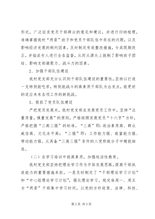 村党支部党建工作汇报.docx