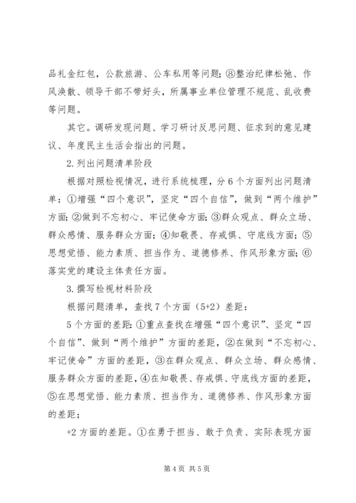 领导班子“不忘初心、牢记使命”主题教育检视问题工作方案 (2).docx