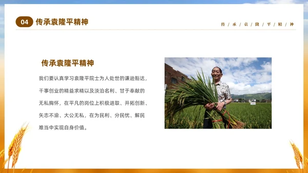 黄色实拍稻穗522纪念杂交水稻之父袁隆平主题班会PPT纪念袁隆平