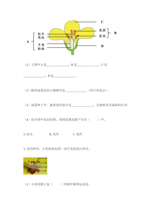 科学四年级下册第一单元植物的生长变化测试卷及完整答案【考点梳理】.docx