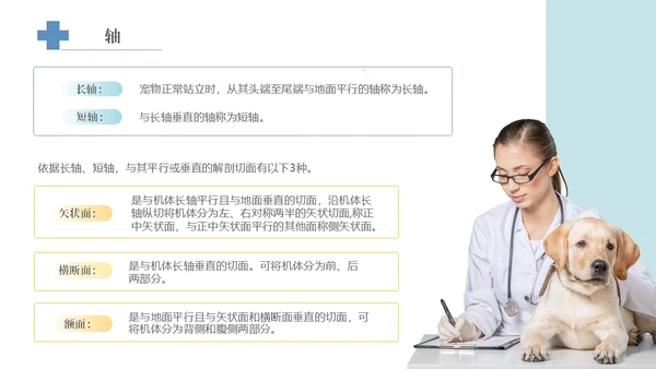 实拍风宠物解剖生理宠物解剖生理讲座PPT