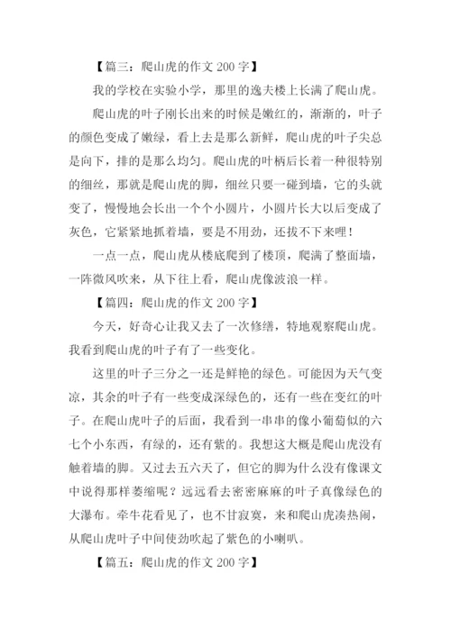 爬山虎的作文200字.docx