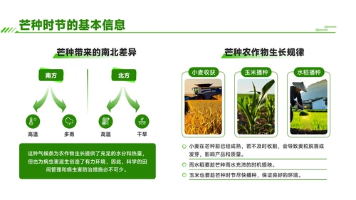 绿色商务风芒种时节农业新技术应用与推广