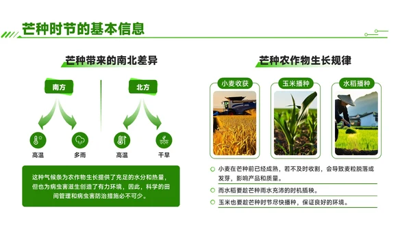 绿色商务风芒种时节农业新技术应用与推广