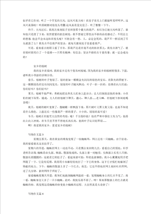 热门写物作文集锦九篇